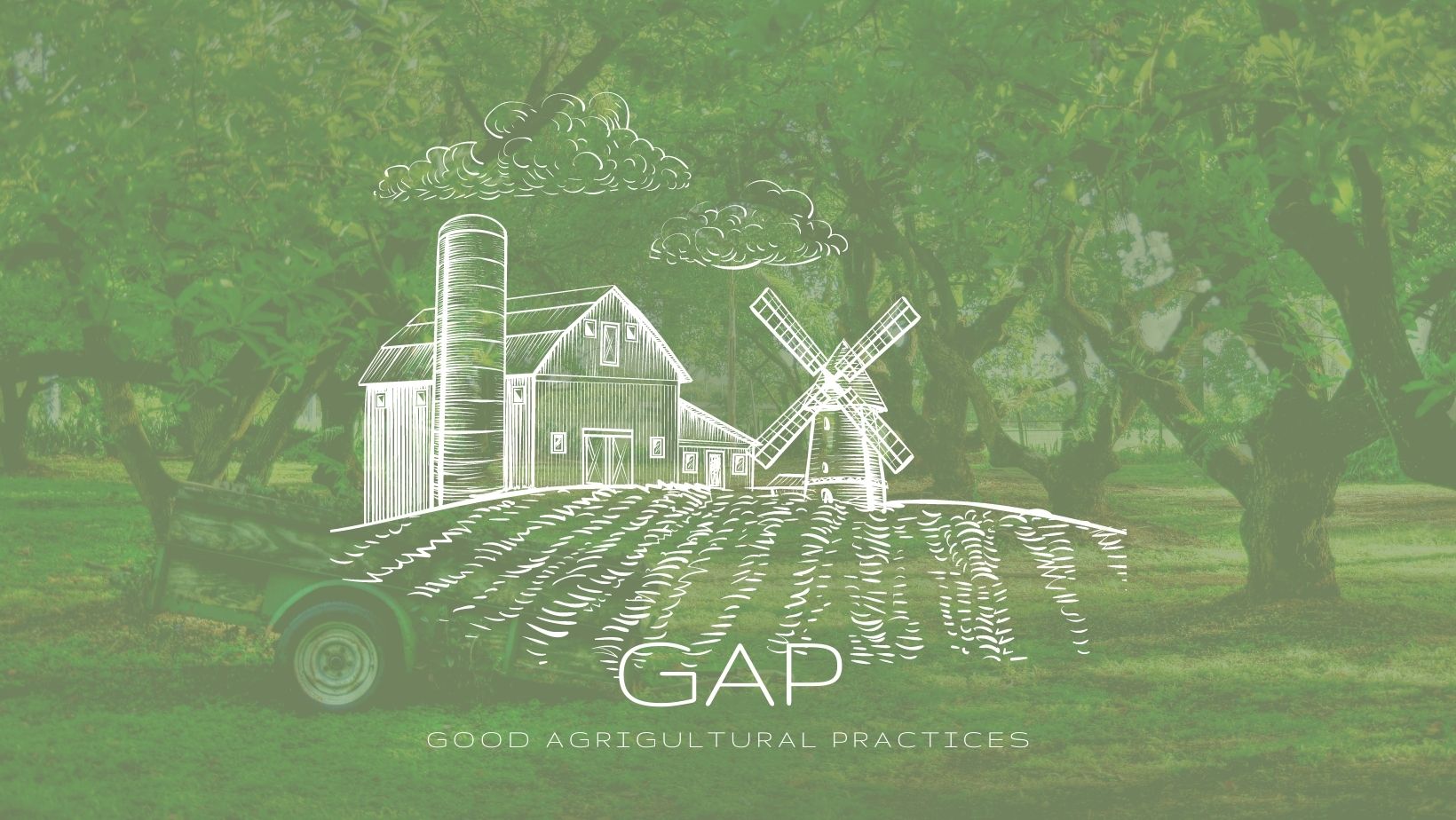 The Importance of Good Agricultural Practices & Good Wages
