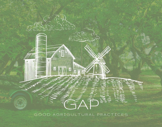The Importance of Good Agricultural Practices & Good Wages