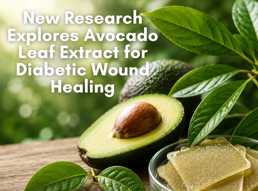 New Research Explores Avocado Leaf Extract for Wound Healing