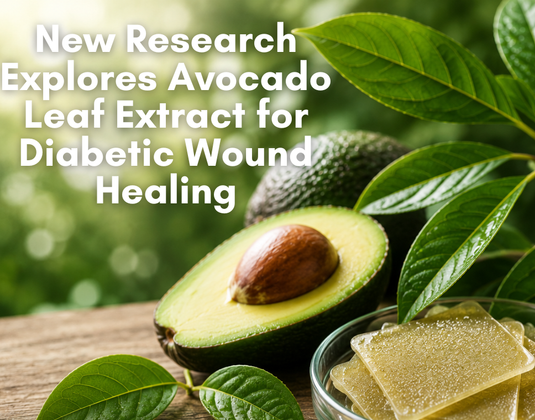 New Research Explores Avocado Leaf Extract for Wound Healing