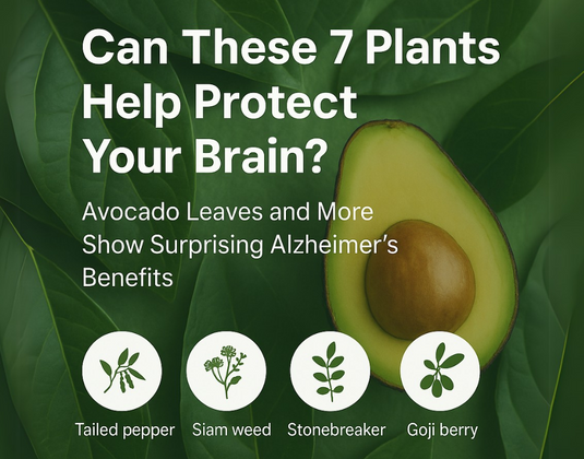 Can These 7 Plants Help Protect Your Brain?