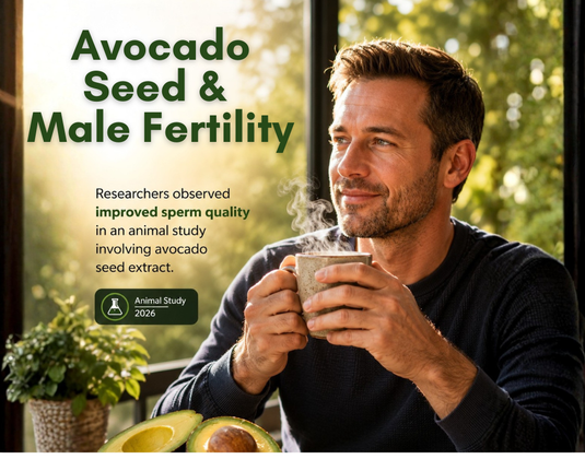 New Study Examines Avocado Seed Extract and Male Fertility