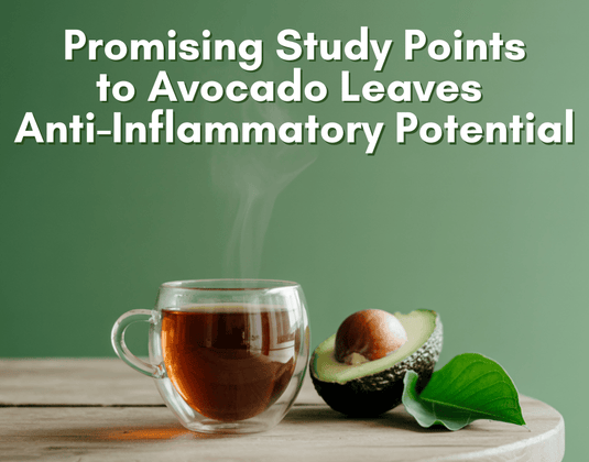 How Avocado Leaves May Help Calm Inflammation—According to Science