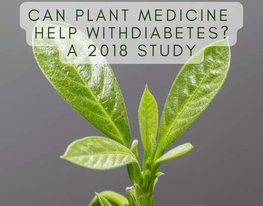 Can plant medicine help treat Diabetes? 2018 Study on Piper Umbellatum & Avocado Leaf