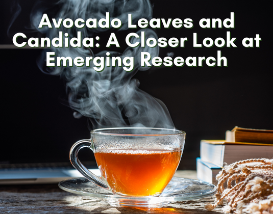 Avocado Leaves & Neem Leaves for Fungal Infections