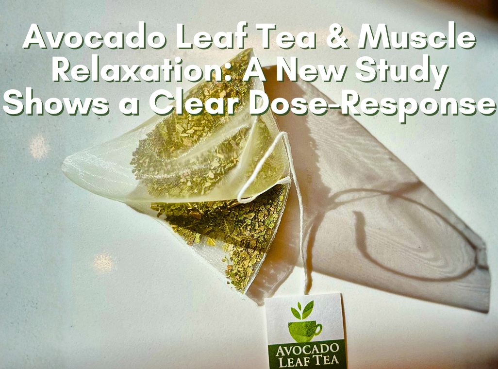 Avocado Leaf Tea and Muscle Relaxation: A New Study Shows a Clear Dose-Response