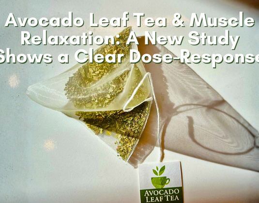 Avocado Leaf Tea and Muscle Relaxation: A New Study Shows a Clear Dose-Response