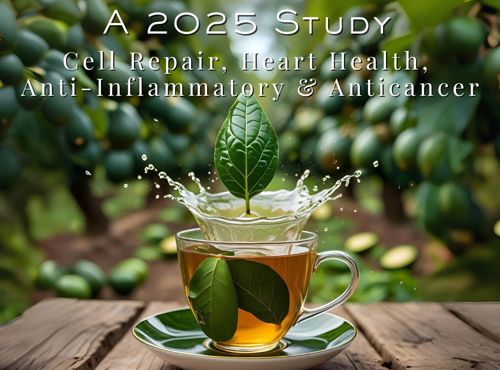 Nature’s Wellness Secret - Anti Inflammatory - Anticancer - Heart & Cell Health