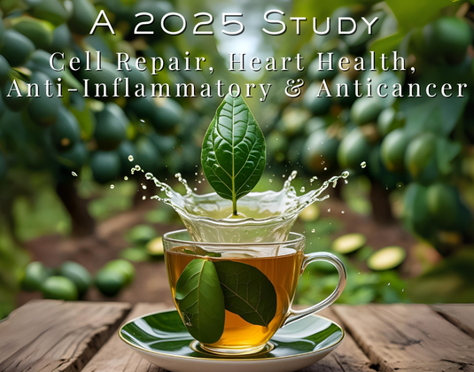 Nature’s Wellness Secret - Anti Inflammatory - Anticancer - Heart & Cell Health