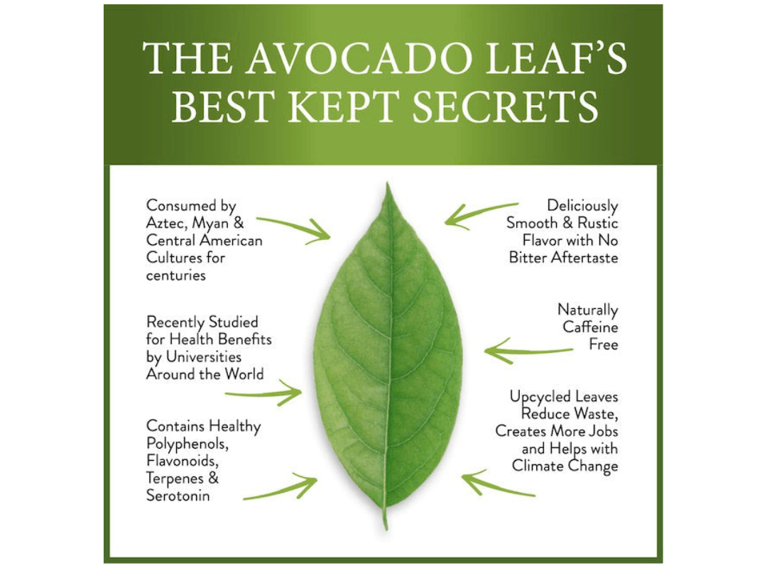 Avocado Leaf's Best Kept Secrets!