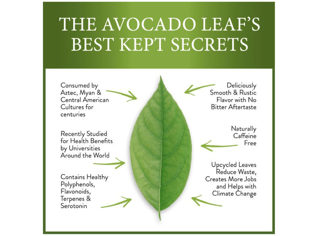 Avocado Leaf's Best Kept Secrets! – Avocado Tea Co.