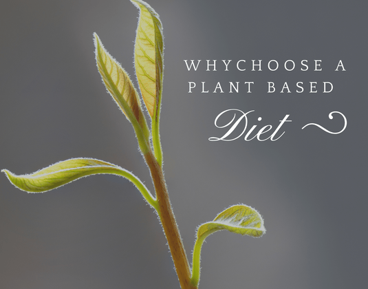 Why Choose a Plant Based Diet?