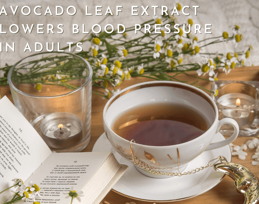 Avocado Leaf Extract Lowers Blood Pressure in Adults - A 2018 Study