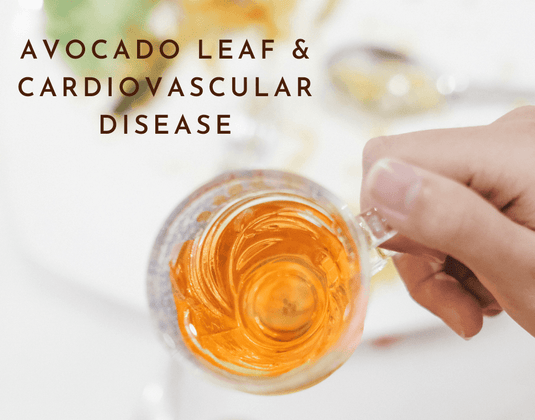 Can Cardiovascular Diseases Be Managed and Treated with Avocado Leaf Extract?