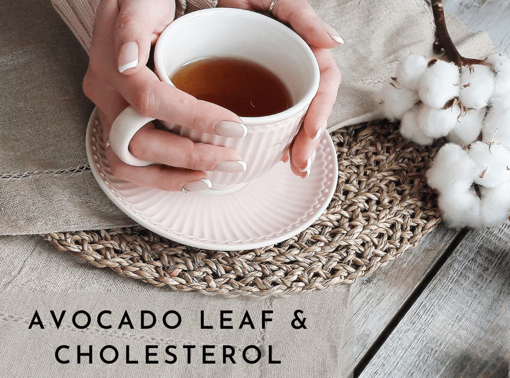 2020 Study on Cholesterol Reduction & Avocado Leaf