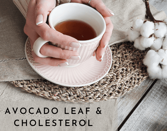 2020 Study on Cholesterol Reduction & Avocado Leaf