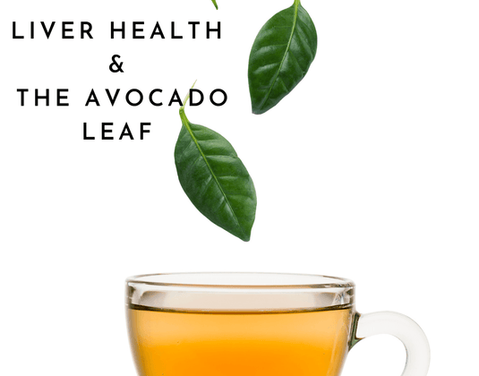 Liver Health & Avocado Leaves