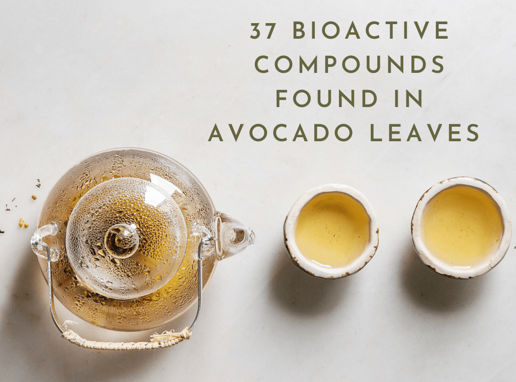 Benefits of the 37 Compounds Found in the Avocado Leaf