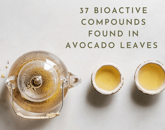Benefits of the 37 Compounds Found in the Avocado Leaf