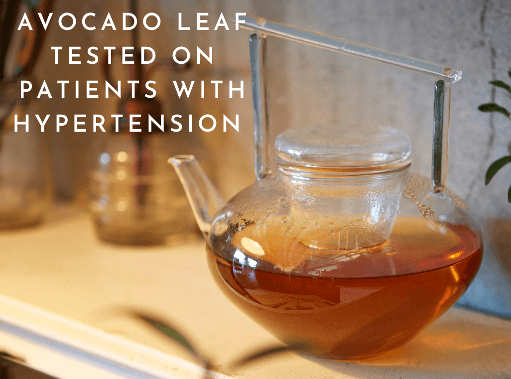 Avocado Tea & 16 Patients with Hypertension