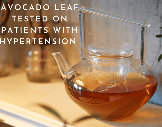 Avocado Tea & 16 Patients with Hypertension
