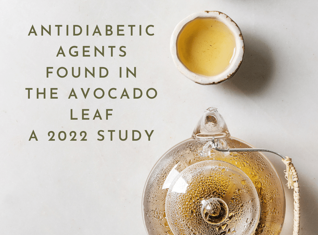 Antidiabetic Agents in the Avocado Leaf - A 2022 Study