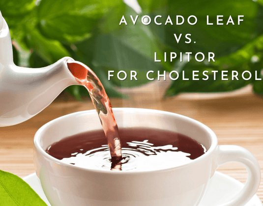 Avocado Leaf Vs. Lipitor for Cholesterol