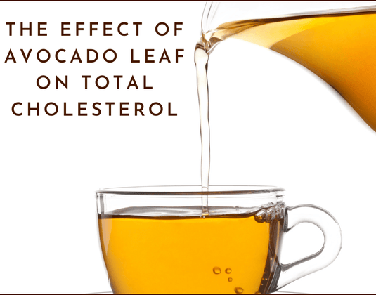Avocado Leaf Shown to Reduce Total Cholesterol