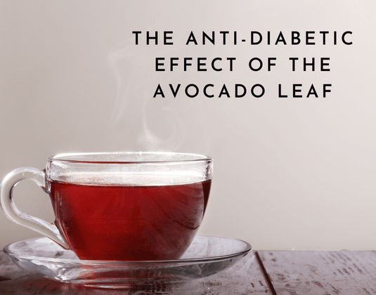 The Anti-Diabetic Effect of the Avocado Leaf - A 2012 Study