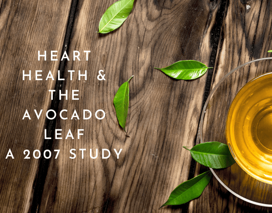Heart Health & the Avocado Leaf