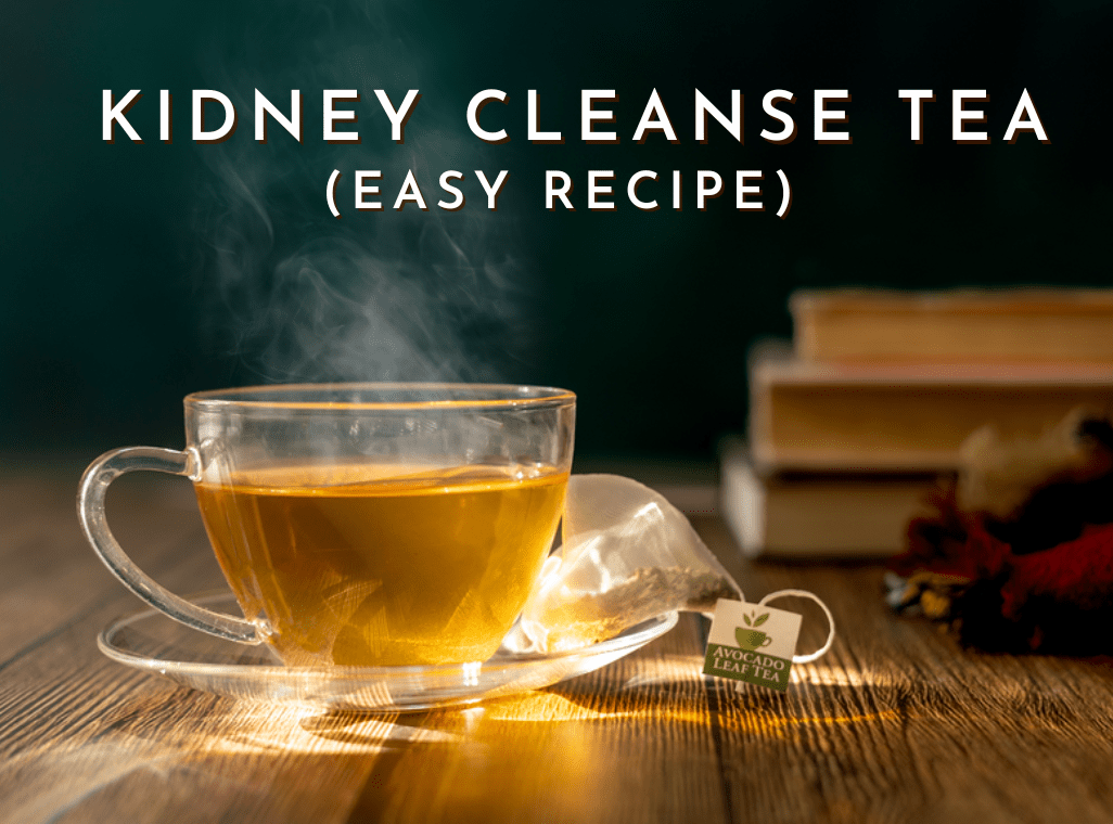 Avocado Leaf Kidney Cleanse Tea Recipe