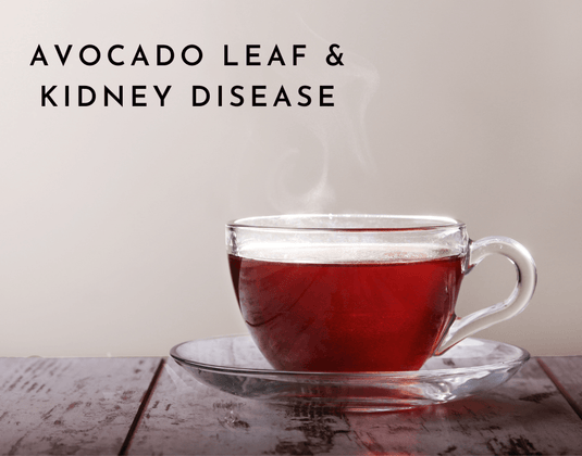 Avocado Leaf & Kidney Disease
