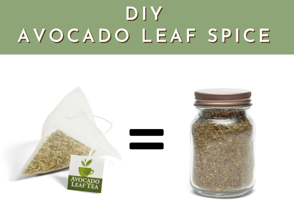 DIY - Avocado Leaf Spice Blend