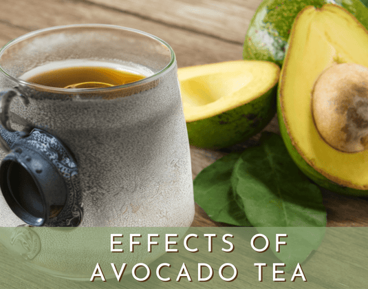 Effects of Avocado Leaf Tea