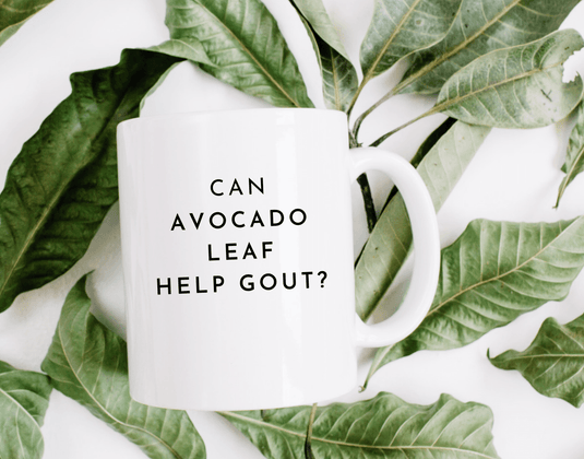 Gout & Avocado Leaf