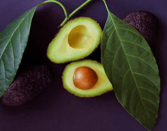 Hypertension & Avocado Leaf Extract - A Revealing Study