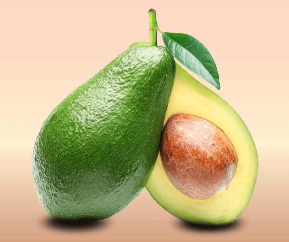 Avocado Leaf, An Antioxidant Game Changer for Pharmaceutical Industry