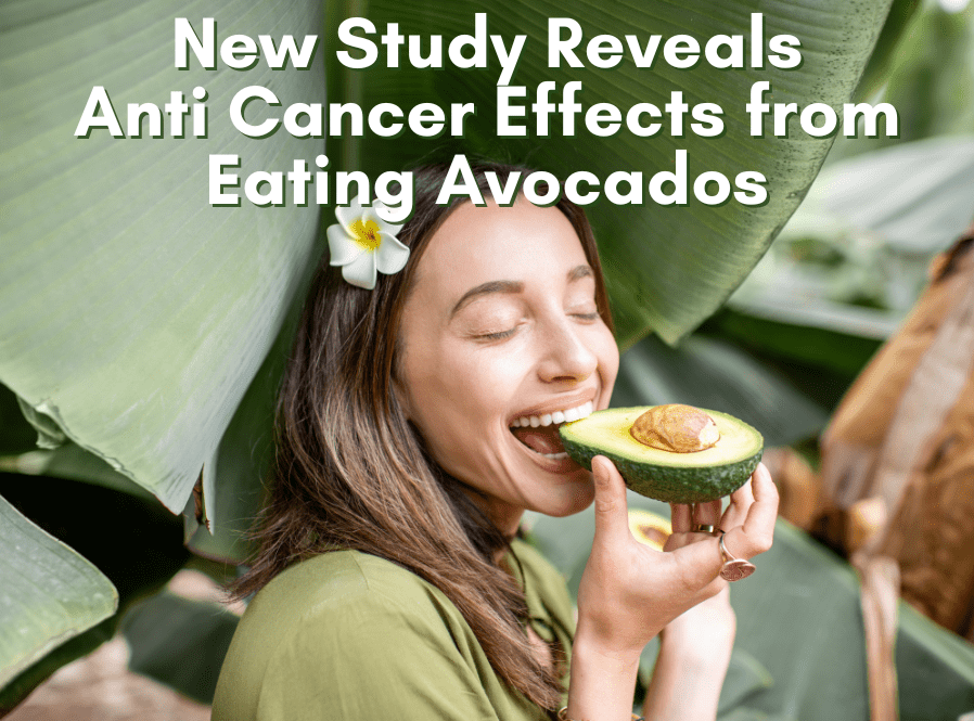 Anti-Cancer effects of the Avocado -  A Closer Look at the Science