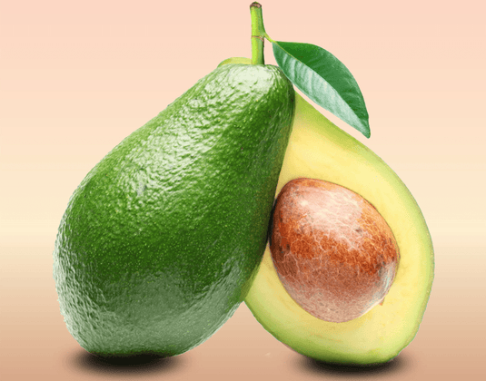 Avocado Leaf, An Antioxidant Game Changer for Pharmaceutical Industry