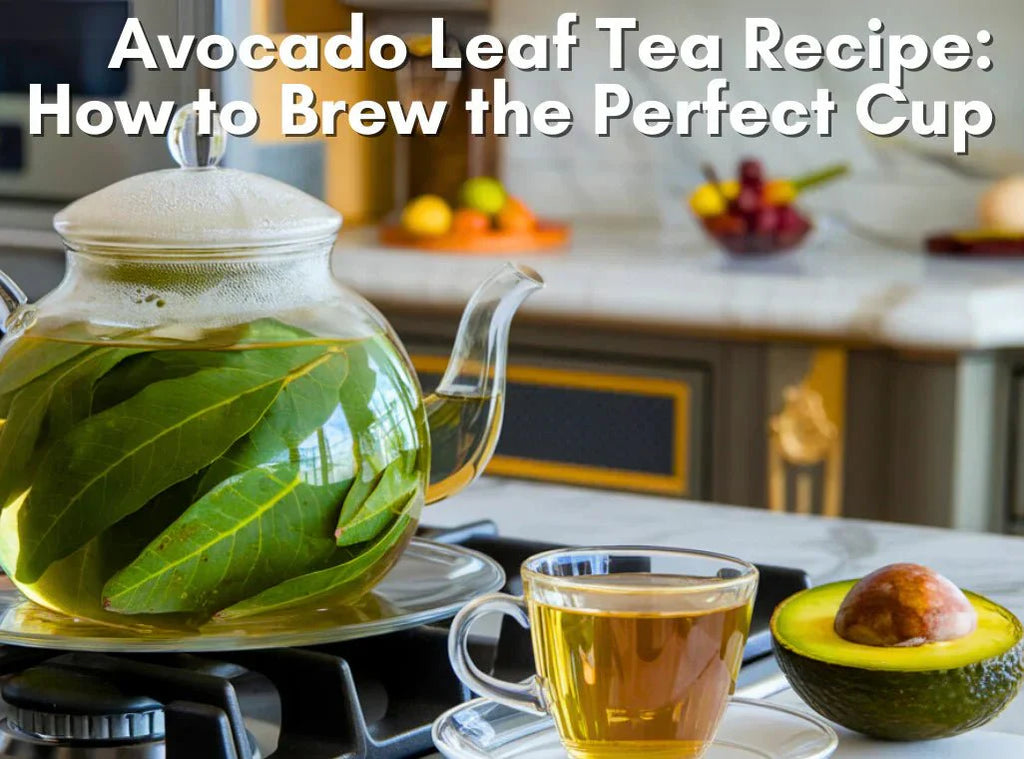 Avocado Leaf Tea Recipe: How to Brew the Perfect Cup