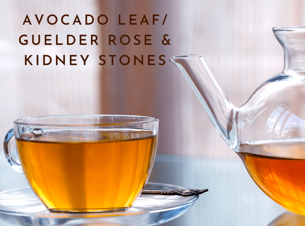 Avocado Leaf/Guelder Rose & Kidney Stones