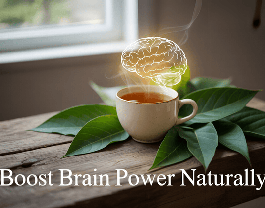 Can Avocado Leaf Extract Help Protect the Brain from Alzheimer’s?
