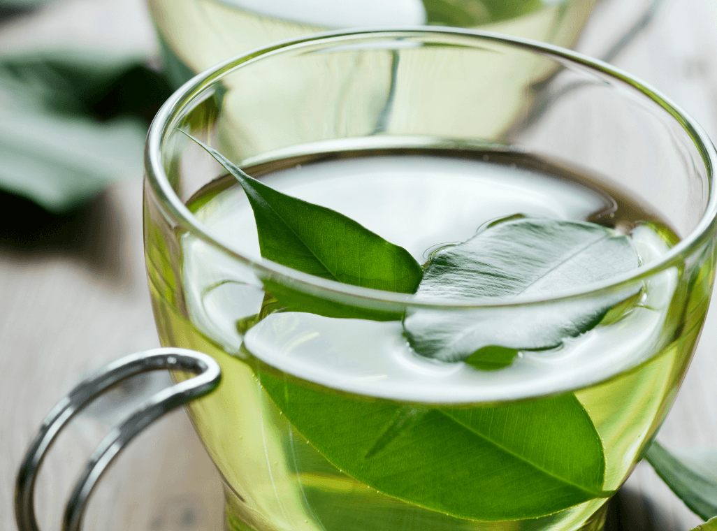 Can plant medicine help treat Diabetes? 2018 Study on Piper Umbellatum & Avocado Leaf