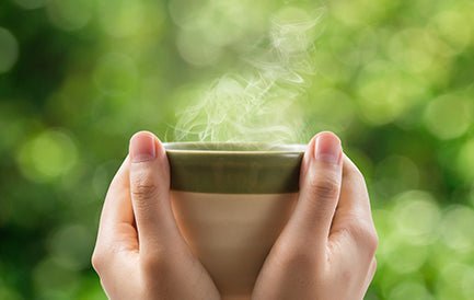 Avocado leaf tea promotes vascular relaxation.