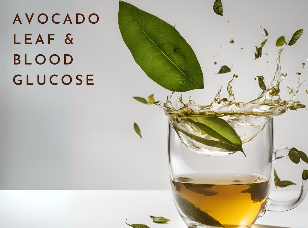 Impact of Avocado Leaf on Blood Glucose