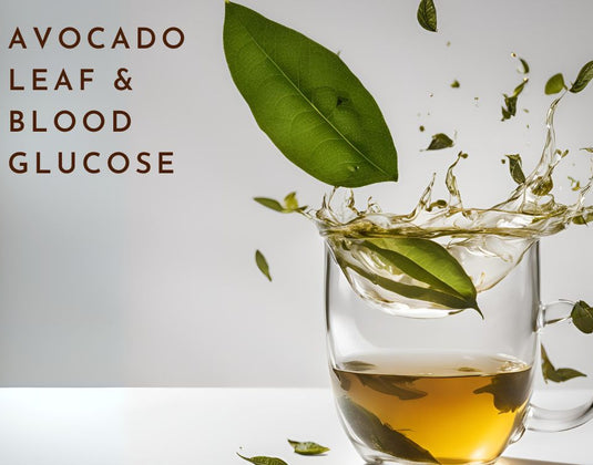 Impact of Avocado Leaf on Blood Glucose