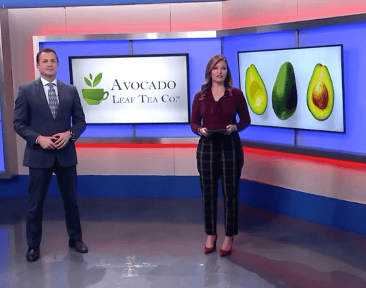 KTVI News Story About Avocado Tea