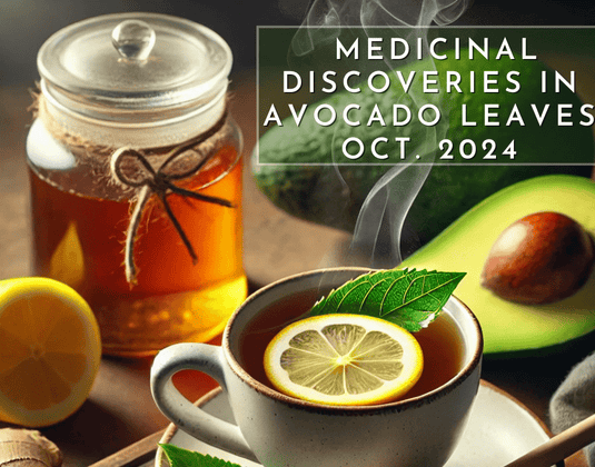 The Most Comprehensive Study of Avocado Leaves To Date. 10/9/2024