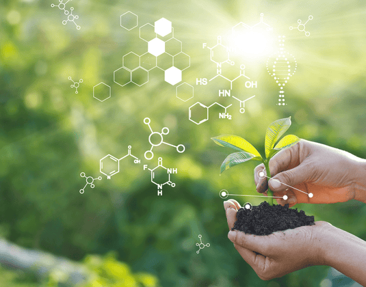 The Science behind The Avocado Leaf