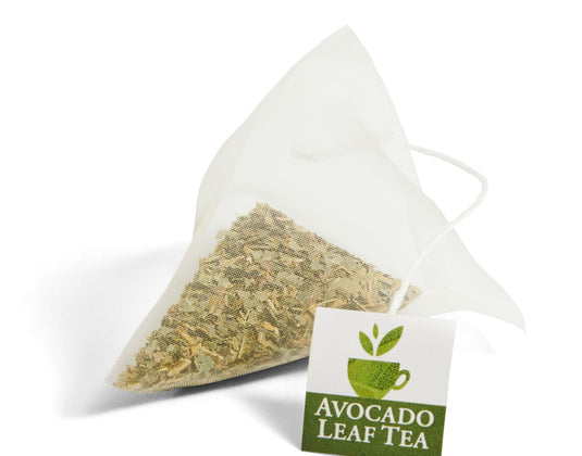 Your Introduction to Avocado Leaf Tea